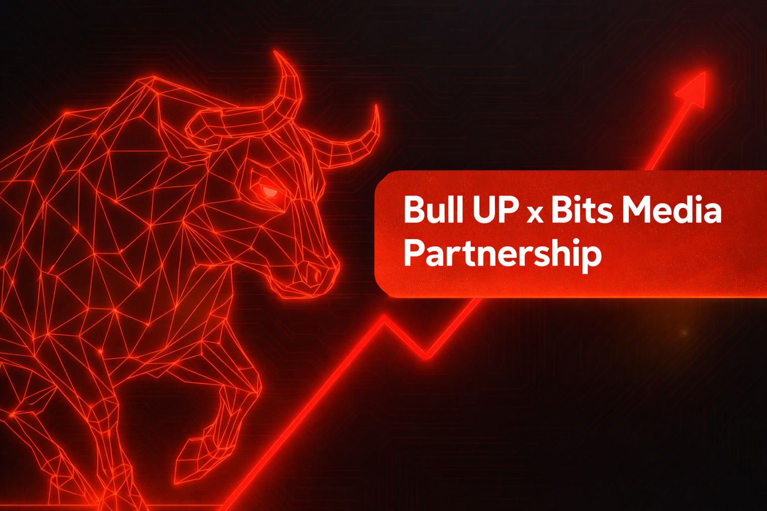 Bull UP × Bits.Media: now listed on the exchanger monitoring section