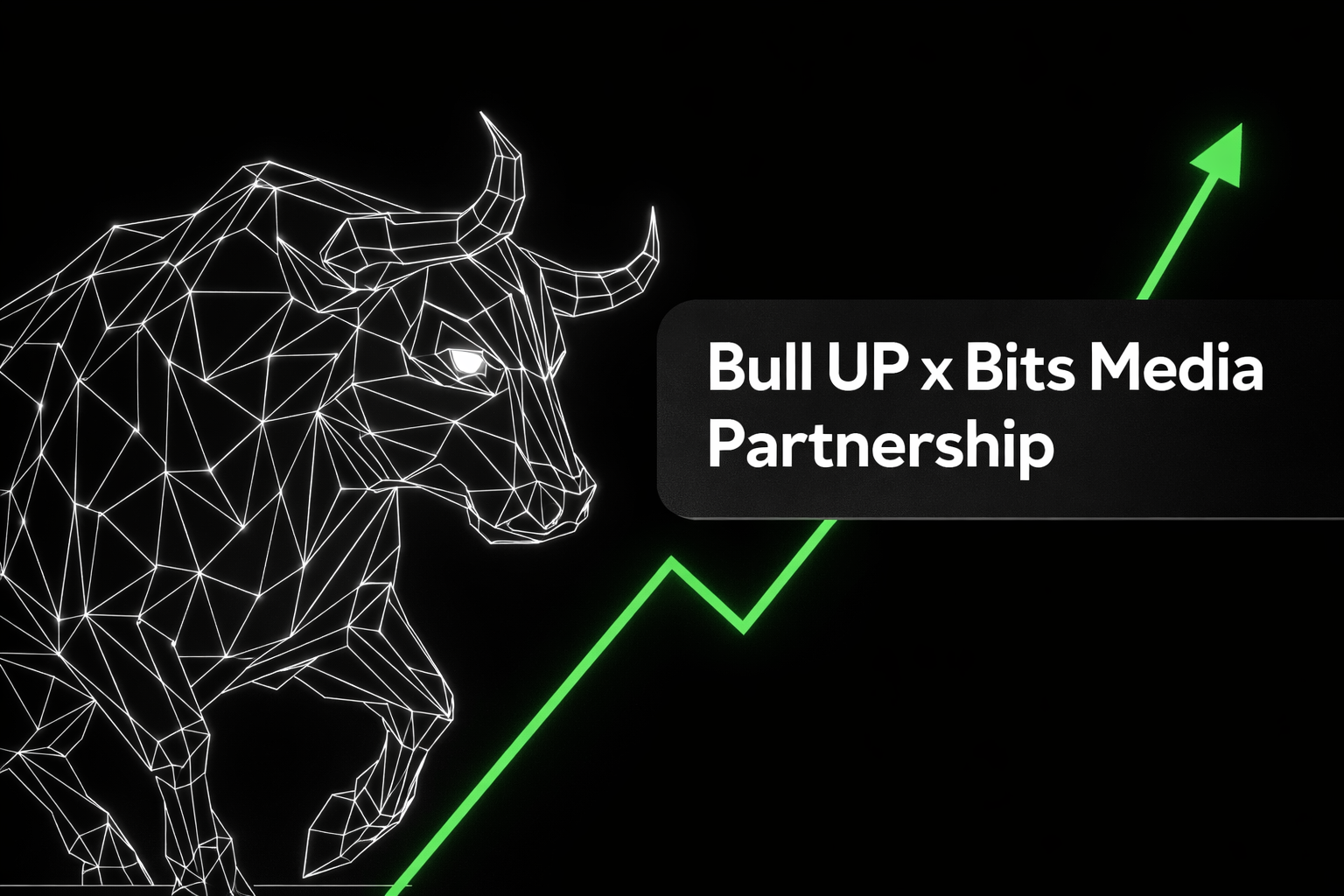 Bull UP × Bits.Media: now listed on the exchanger monitoring section